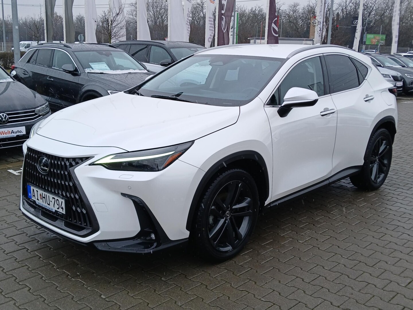 Lexus NX