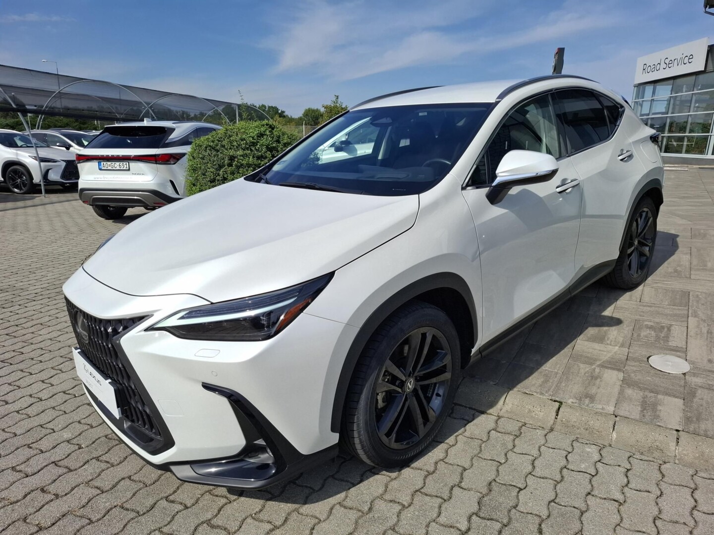Lexus NX