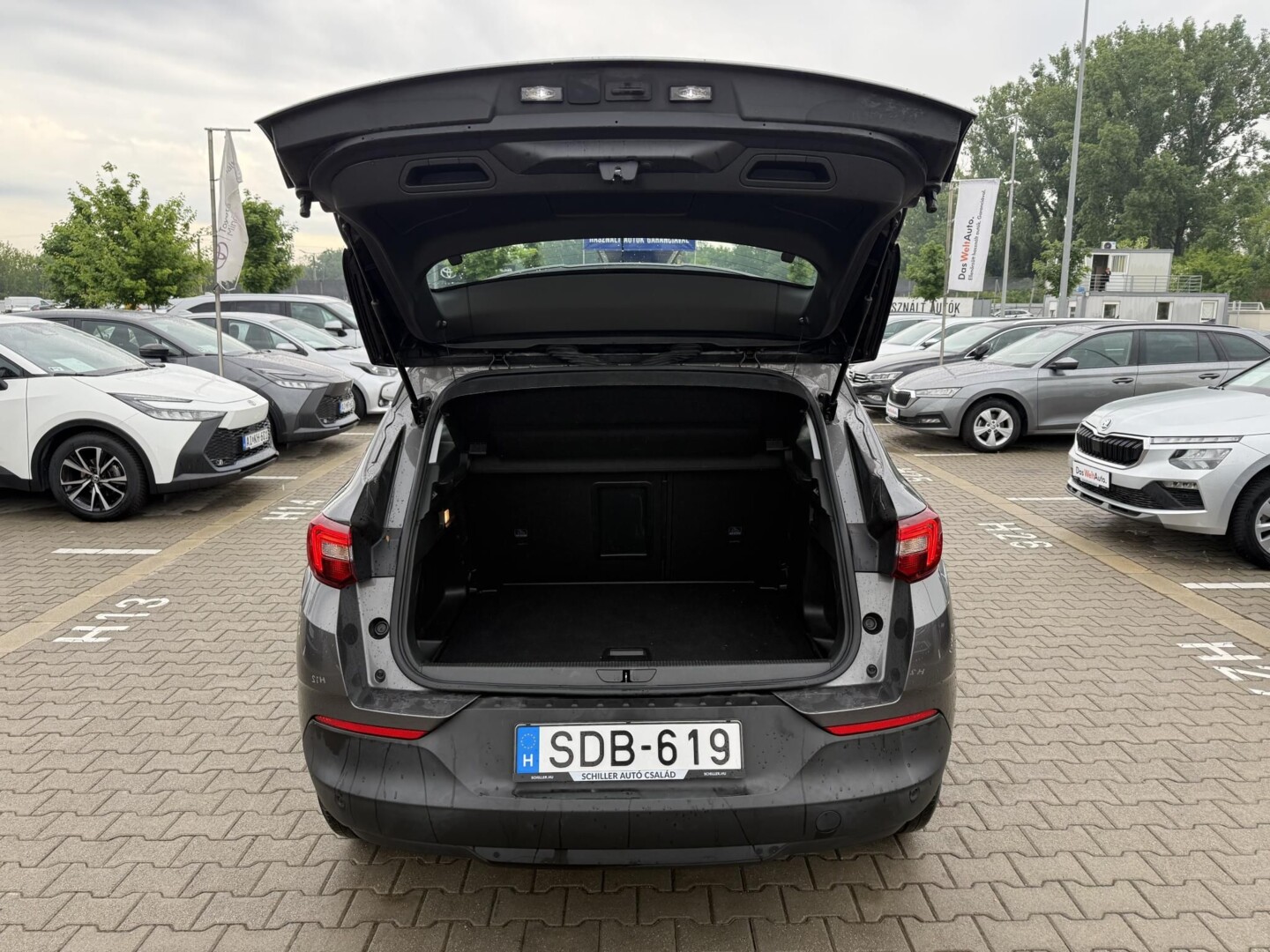 Opel Grandland X