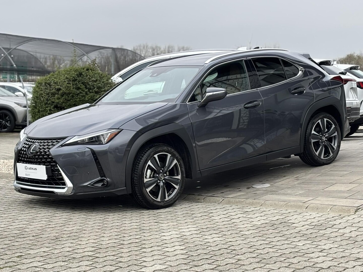 Lexus UX