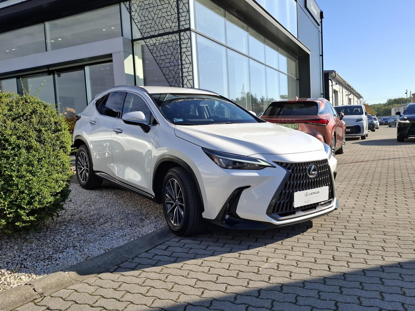 Lexus NX