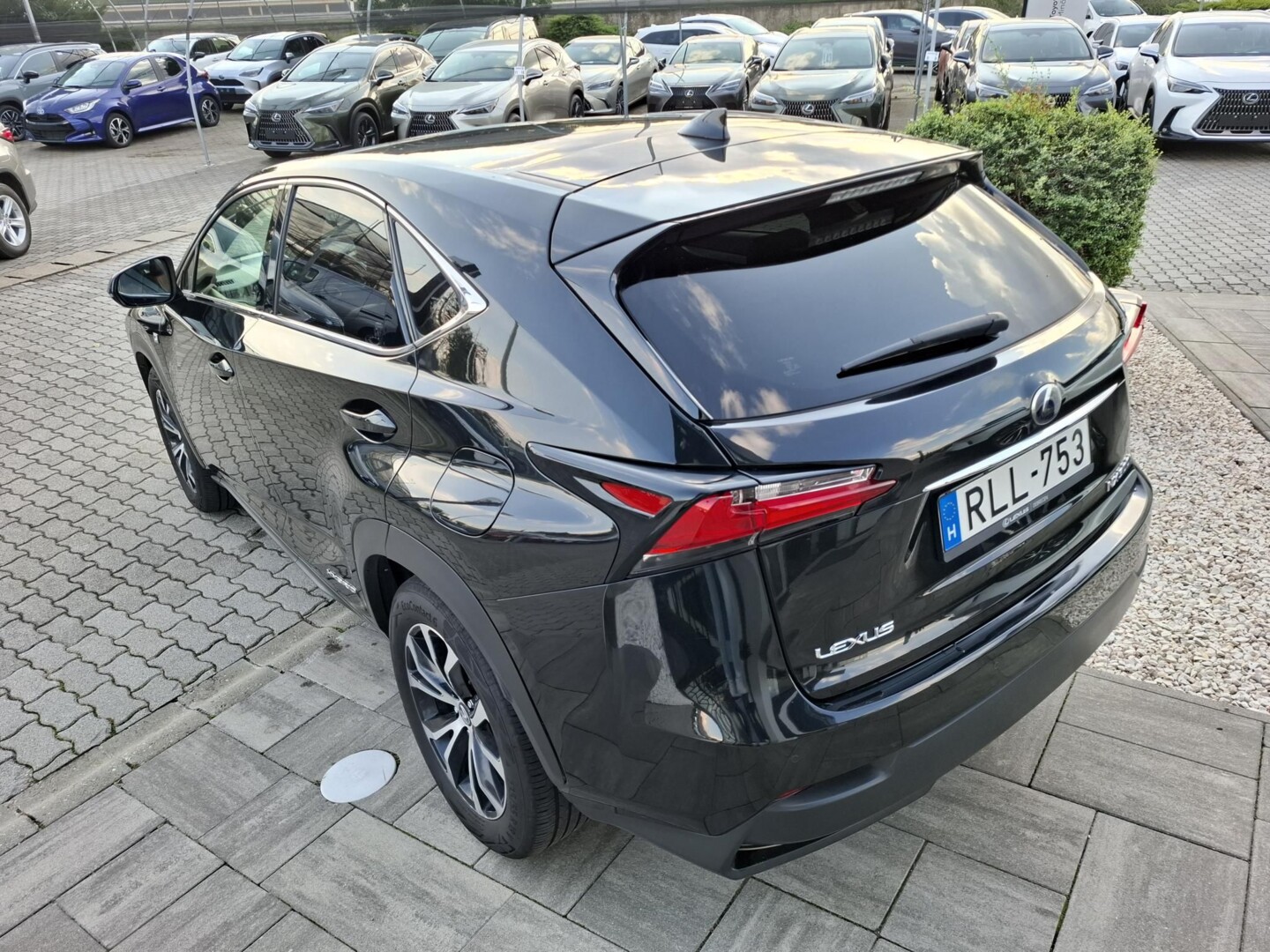 Lexus NX